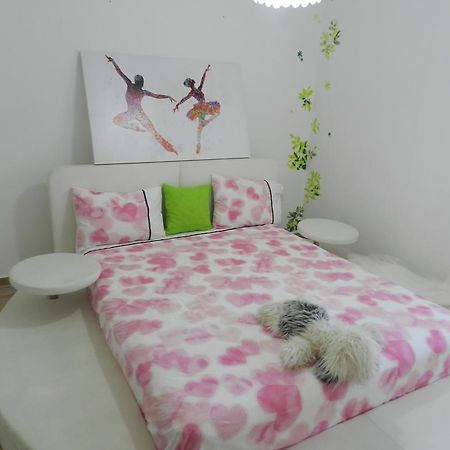 حيفا Alexsea Apartment المظهر الخارجي الصورة